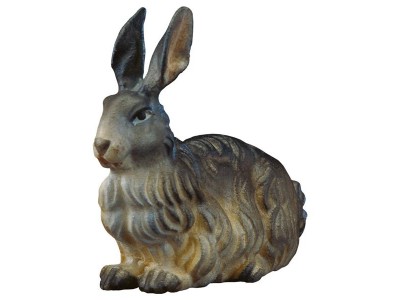 Ul. Hase color